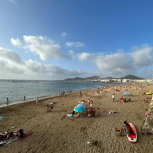 Sardine Las Palmas de Gran Canaria